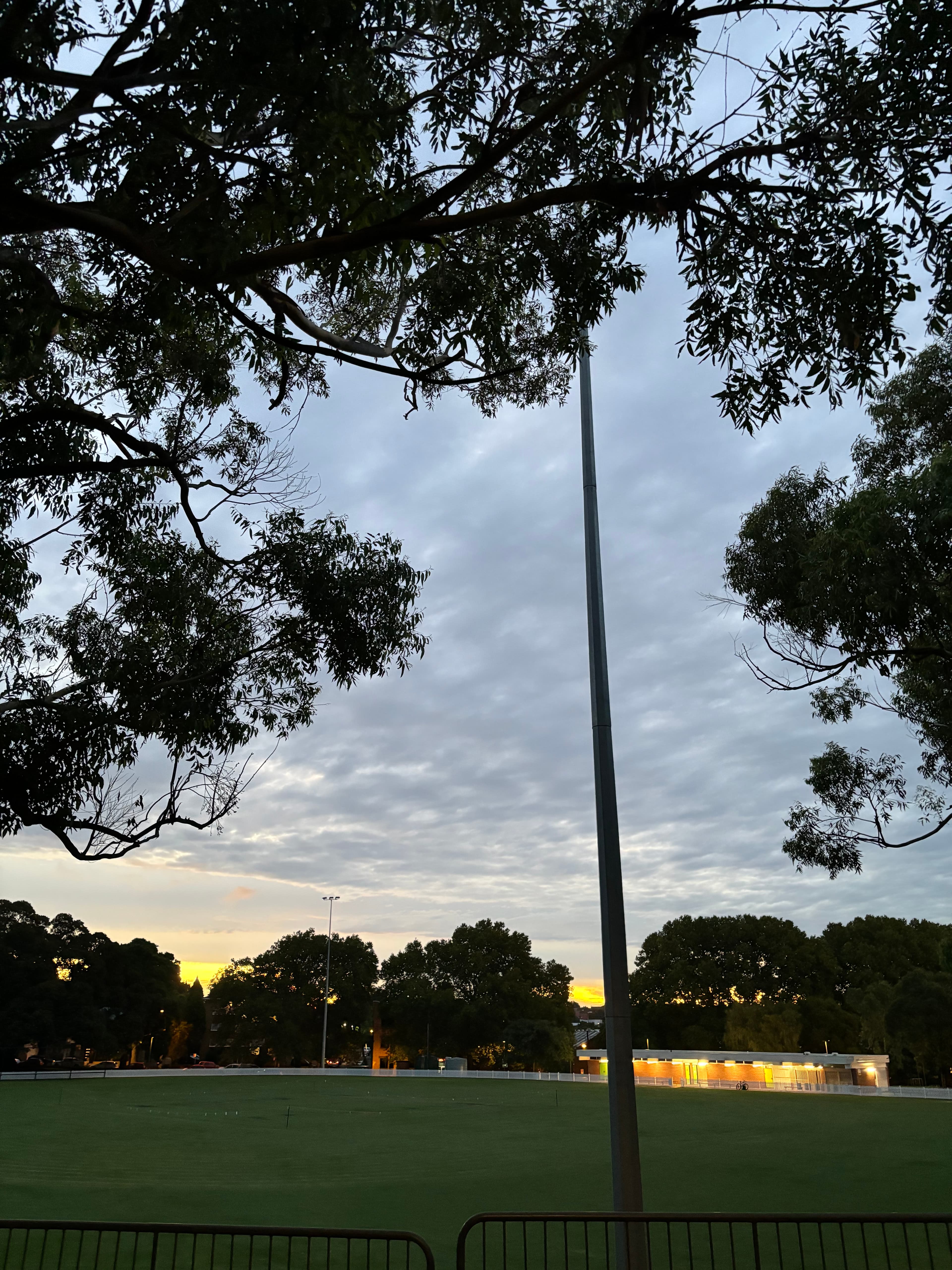 Cricket over camperdown park, sunset