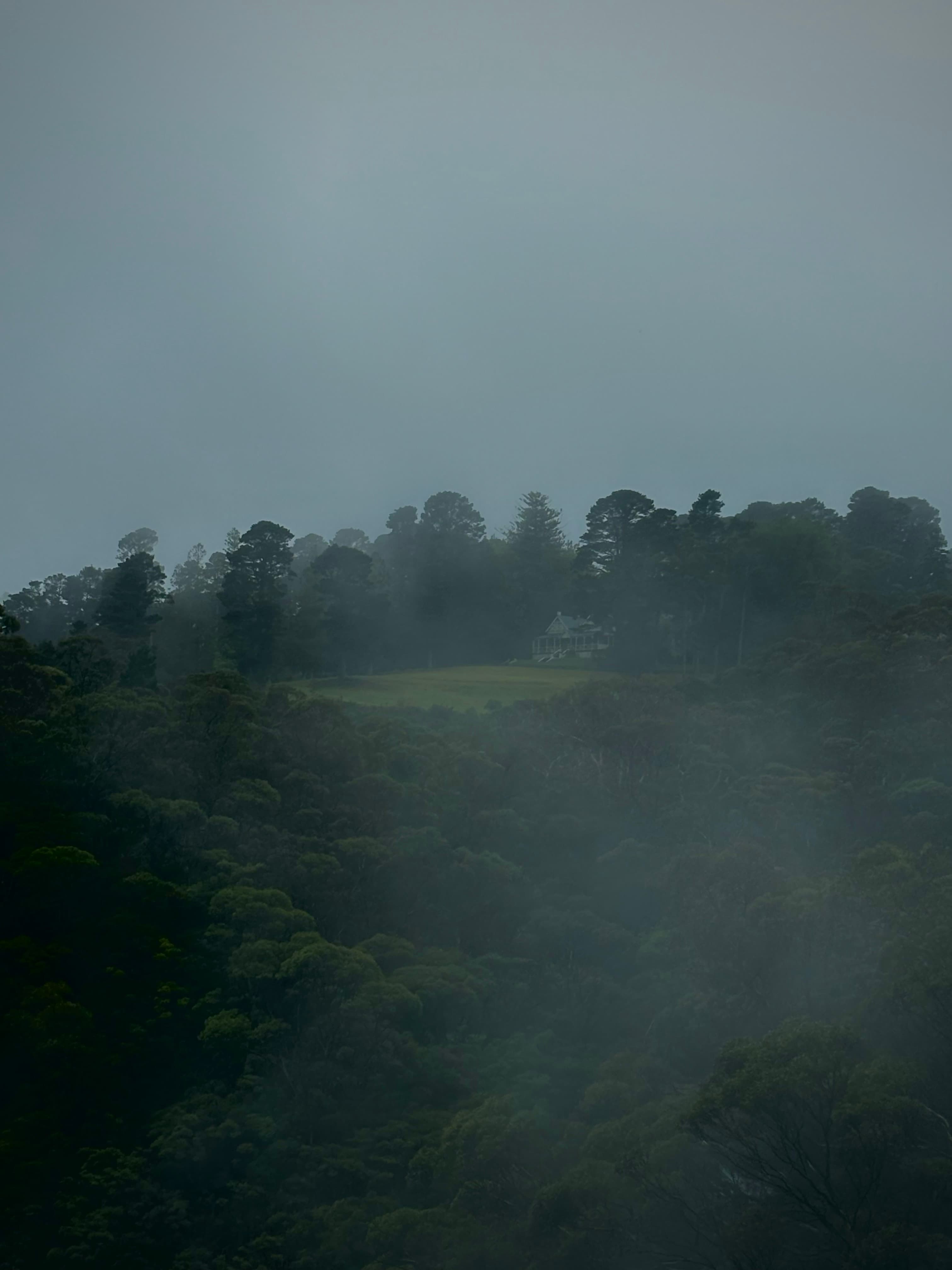 Bluemountains in the mist